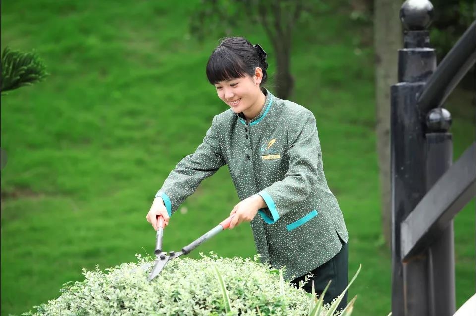 微信图片_20190508140330.jpg